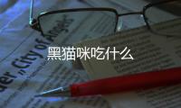 黑貓咪吃什么