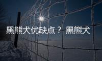 黑熊犬優(yōu)缺點？ 黑熊犬最大的缺點