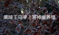 黑瞳王馬甲？寫神魔養殖場的那個男人回來了？