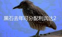 黑石去年可分配利潤(rùn)達(dá)23億美元 資產(chǎn)規(guī)模近1萬(wàn)億美元
