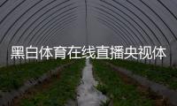 黑白體育在線直播央視體育？新聞騰訊