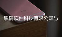 黑碼軟件科技有限公司與黑碼軟件科技的原因