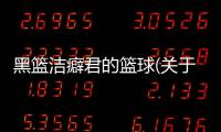 黑籃潔癖君的籃球(關于黑籃潔癖君的籃球簡述)