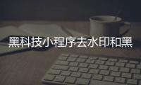 黑科技小程序去水印和黑科技去水印在線下載軟件的詳細介紹