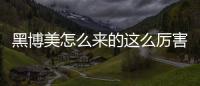 黑博美怎么來的這么厲害？黑博美叫什么名字