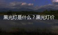 黑光燈是什么？黑光燈價格是多少？