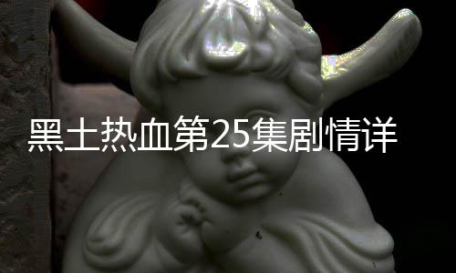 黑土熱血第25集劇情詳細介紹