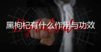 黑枸杞有什么作用與功效(黑枸杞子的作用與功效)