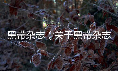黑帶雜志（關于黑帶雜志的基本情況說明介紹）