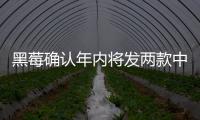 黑莓確認年內將發兩款中端安卓機型售價400美元左右