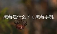 黑莓是什么？（黑莓手機）