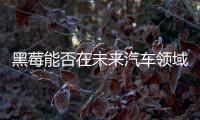 黑莓能否在未來汽車領域打一場翻身仗