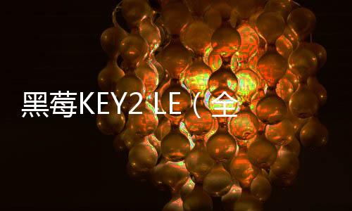黑莓KEY2 LE（全網(wǎng)通）手機(jī)忘了密碼怎么辦？一鍵輕松刷機(jī)