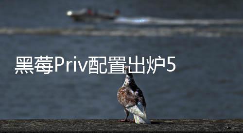 黑莓Priv配置出爐5.4英寸2K屏/驍龍808芯