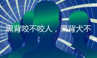 黑背咬不咬人，黑背犬不吃不喝怎么回事
