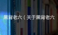 黑背老六（關于黑背老六的基本情況說明介紹）