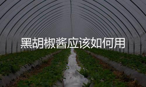 黑胡椒醬應該如何用