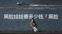 黑臉娃娃要多少錢？黑臉娃娃功全解！