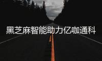 黑芝麻智能助力億咖通科技旗下首款智能駕駛計算平臺成功量產交付