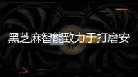 黑芝麻智能致力于打磨安全可靠的自動(dòng)駕駛芯片產(chǎn)品