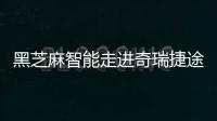 黑芝麻智能走進奇瑞捷途 探討汽車智能化轉型