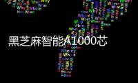 黑芝麻智能A1000芯片助力聯友智連打造行泊一體域控
