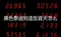 黑色泰迪狗造型夏天怎么養？黑色的泰迪狗怎么造型好看
