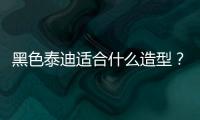 黑色泰迪適合什么造型？黑色泰迪做什么造型好看