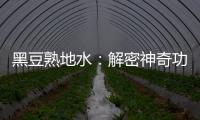 黑豆熟地水：解密神奇功效，讓你煥發健康光彩！