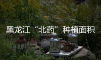 黑龍江“北藥”種植面積260萬(wàn)畝比去年增長(zhǎng)44.4%