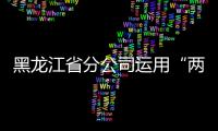 黑龍江省分公司運用“兩法”實現(xiàn)醫(yī)藥項目新突破