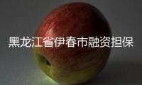 黑龍江省伊春市融資擔保公司轉讓如何辦理