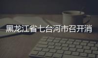 黑龍江省七臺河市召開消費維權年主題座談會