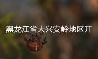 黑龍江省大興安嶺地區(qū)開展農(nóng)資打假保春耕專項(xiàng)檢查