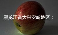 黑龍江省大興安嶺地區(qū)：百日行動保節(jié)日食品安全