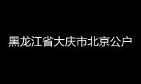 黑龍江省大慶市北京公戶車標轉讓專業找代經理