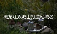 黑龍江雙鴨山打造地域名片為鄉(xiāng)村振興助力