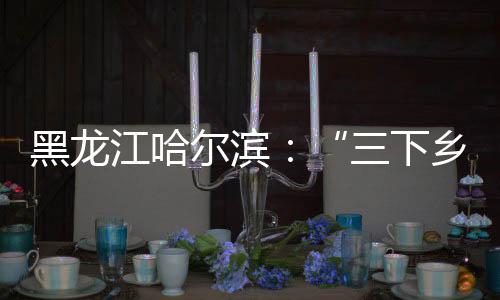 黑龍江哈爾濱：“三下鄉(xiāng)”宣傳活動(dòng)走進(jìn)校園