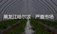 黑龍江哈爾濱：嚴查市場監管領域9類違法行為