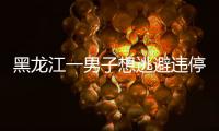 黑龍江一男子想逃避違停處罰掏出假警察證 被行拘12天