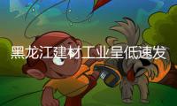 黑龍江建材工業呈低速發展,行業資訊
