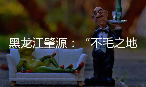 黑龍江肇源：“不毛之地”變身魚米之鄉
