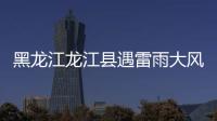 黑龍江龍江縣遇雷雨大風 民房倒塌樹木大面積攔腰折斷
