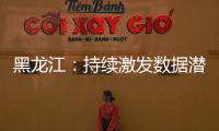 黑龍江：持續激發數據潛能積極發展大數據產業