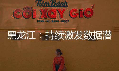 黑龍江：持續(xù)激發(fā)數(shù)據(jù)潛能積極發(fā)展大數(shù)據(jù)產(chǎn)業(yè)
