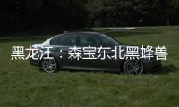 黑龍江：森寶東北黑蜂獸藥殘留超標