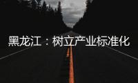 黑龍江：樹立產業標準化標桿 助推冰雪經濟高質量發展