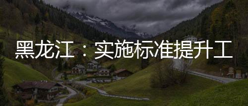 黑龍江：實施標準提升工程 助力消費品以舊換新