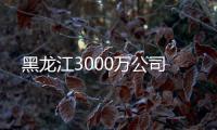 黑龍江3000萬公司