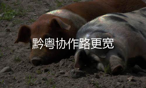 黔粵協作路更寬